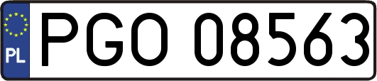 PGO08563