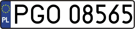 PGO08565