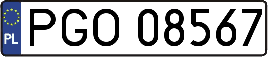 PGO08567