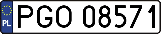 PGO08571