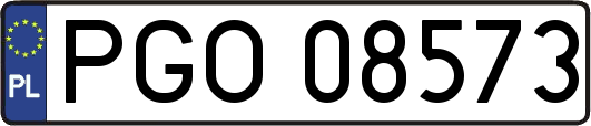 PGO08573