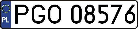 PGO08576