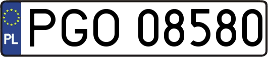 PGO08580