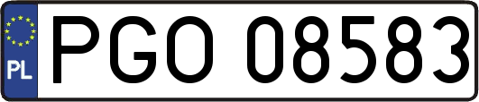 PGO08583