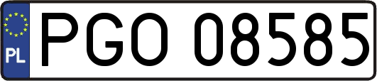 PGO08585