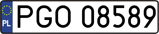 PGO08589