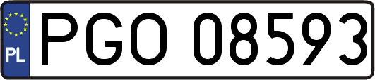 PGO08593