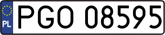 PGO08595