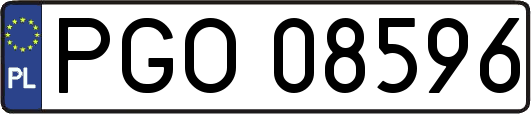 PGO08596