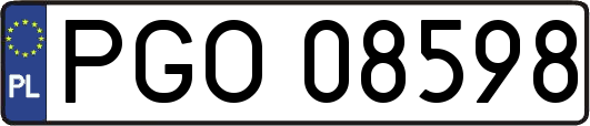 PGO08598