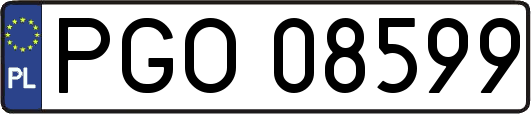 PGO08599
