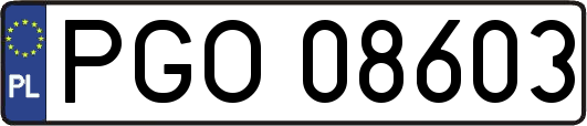 PGO08603