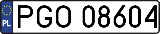 PGO08604