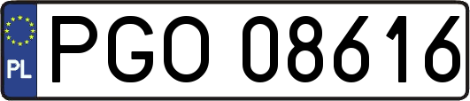 PGO08616