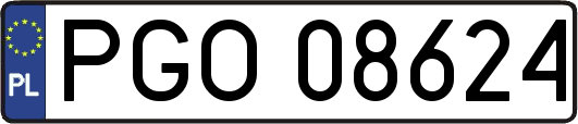PGO08624