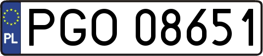 PGO08651