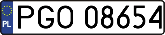 PGO08654