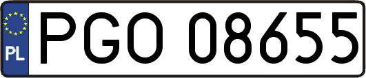 PGO08655