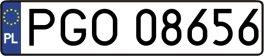 PGO08656
