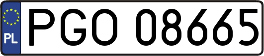 PGO08665