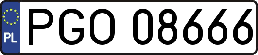 PGO08666