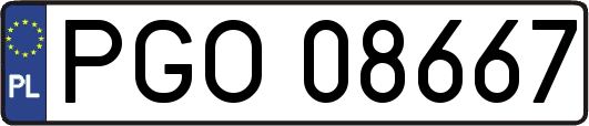 PGO08667