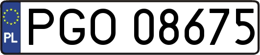 PGO08675