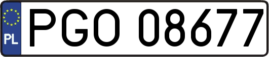 PGO08677