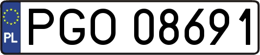 PGO08691