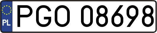 PGO08698