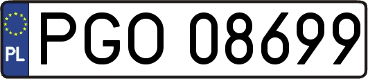 PGO08699