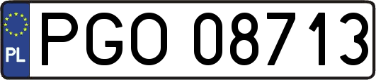 PGO08713
