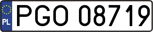 PGO08719