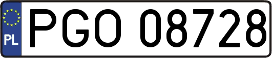 PGO08728