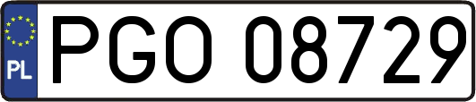 PGO08729
