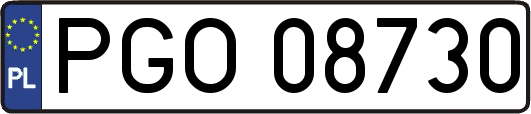 PGO08730