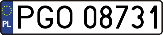 PGO08731