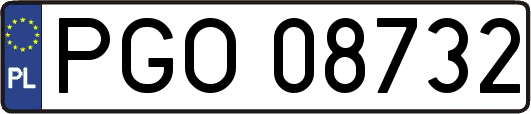 PGO08732