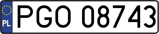 PGO08743