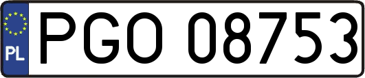 PGO08753