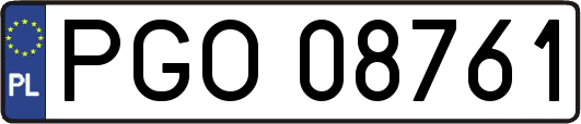 PGO08761