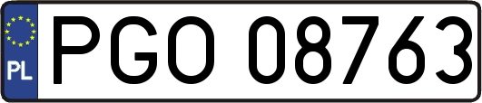 PGO08763