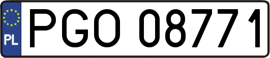 PGO08771