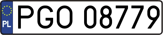 PGO08779