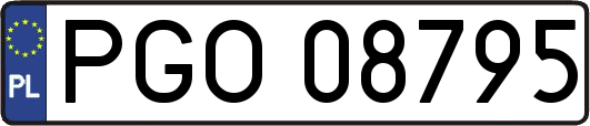 PGO08795