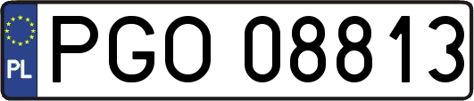 PGO08813