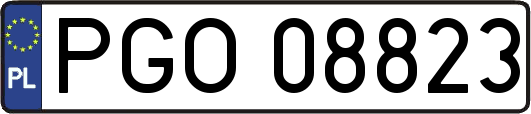 PGO08823