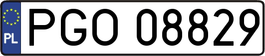 PGO08829