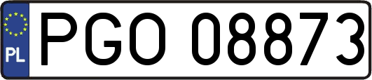 PGO08873