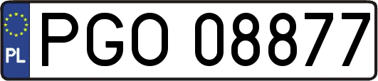 PGO08877